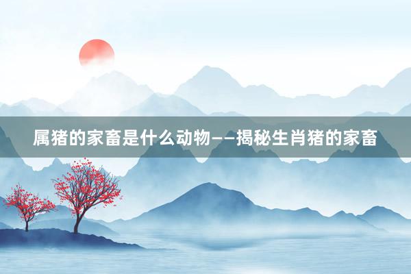 属猪的家畜是什么动物——揭秘生肖猪的家畜