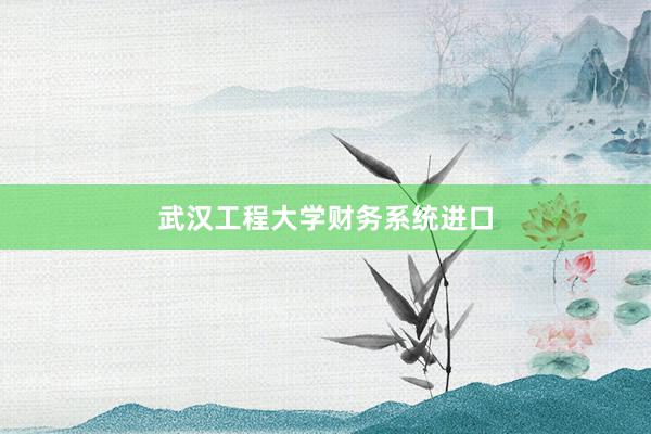 武汉工程大学财务系统进口