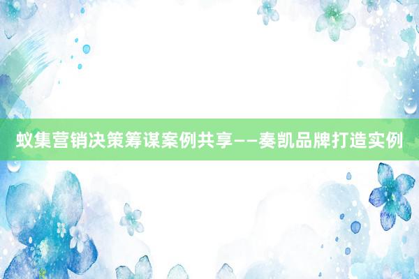 蚁集营销决策筹谋案例共享——奏凯品牌打造实例
