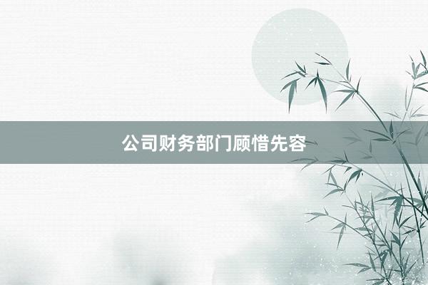 公司财务部门顾惜先容